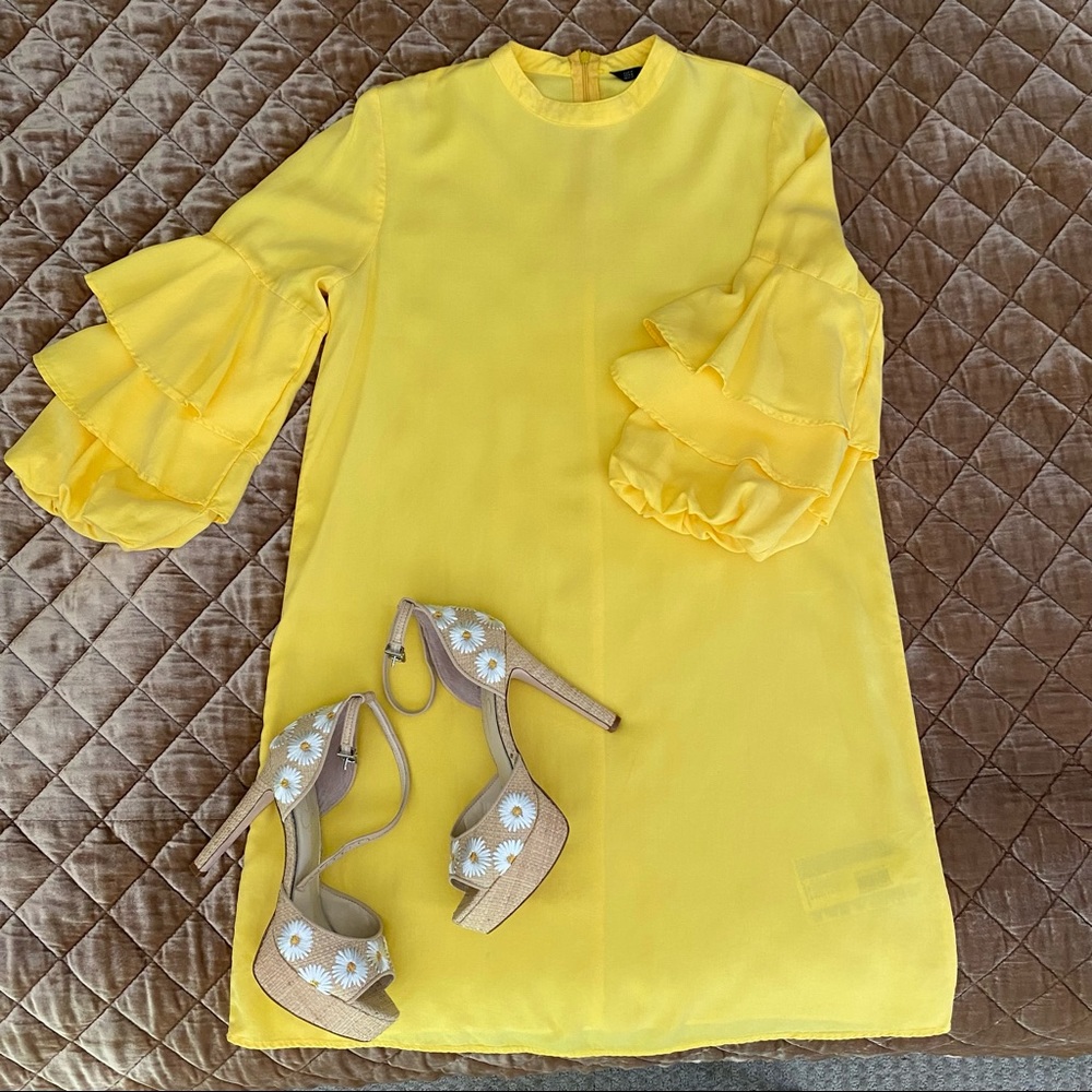 Zara ruffled sleeve dress